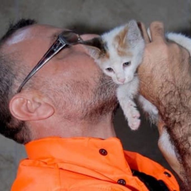 Road Worker Performs Amazing Rescue On Drowning Kitten And You Have To See It To Believe It