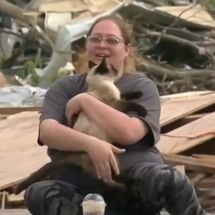 Oklahoma Cat Survives A Devastating Tornado And Reunites With Owners In Live Broadcast