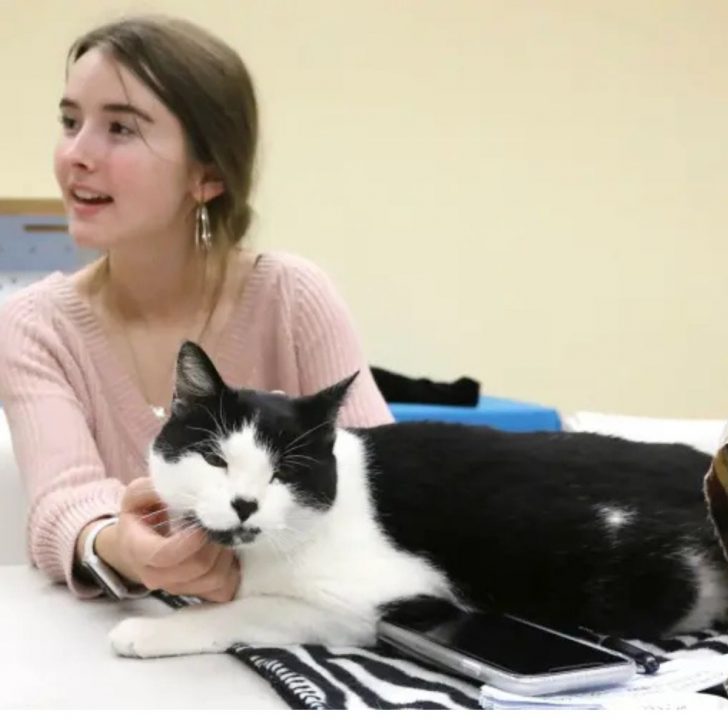 Oregon Teen Shocked To See Her Missing Cat While Volunteering At A Shelter Three Years Later